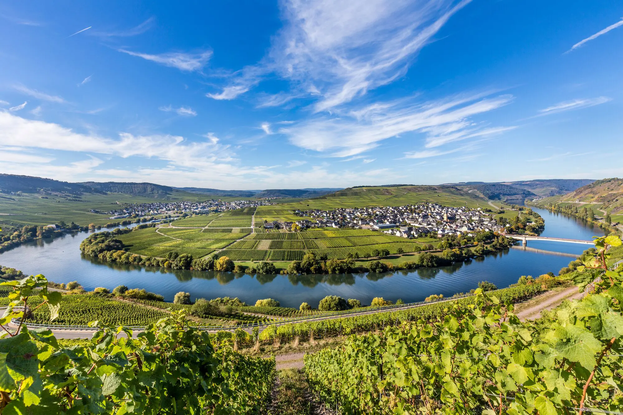 Vineyards-of-the-Rhine-&-Moselle